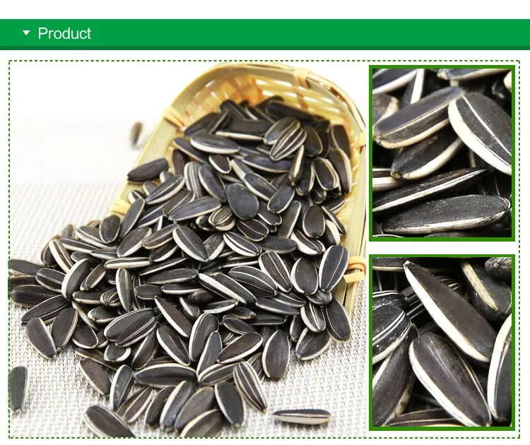 High Quality Chinese White Stripe Type 601 Sunflower Kernels Seeds ...