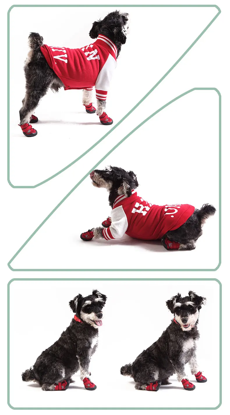 Lovoyager Pet Products Small Mesh Non Slip Running Tennis Reflective