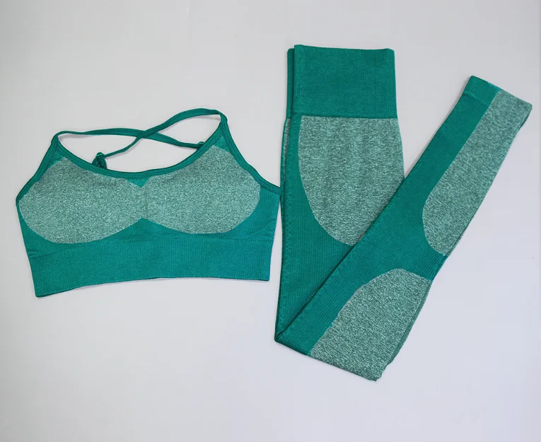 

Seamless Tracksuit 2 Piece Set Women Summer Athletic Sexy Yoga Fitness Work out Clothing, More than 6 colors