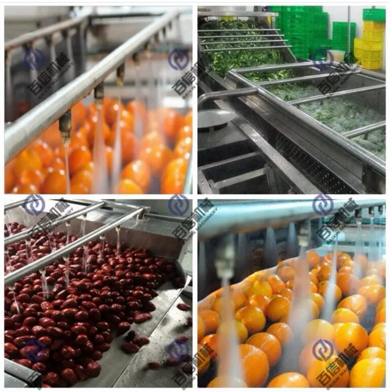 Fruit washer / fruit processing machinery / Apple washer