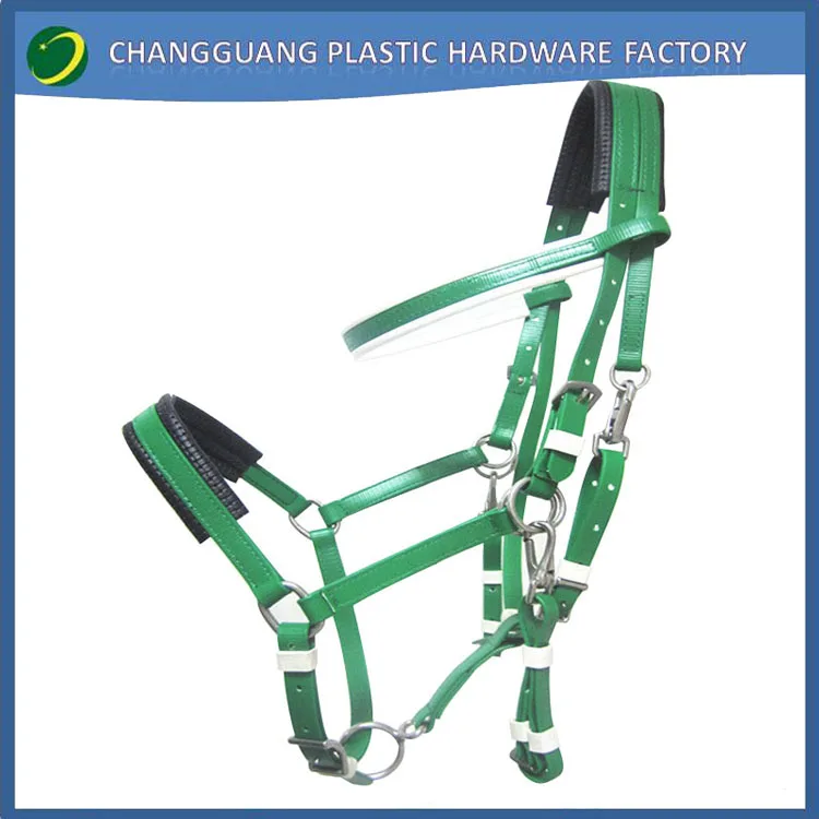 green endurance halter.jpg