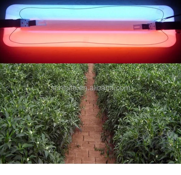 
new supplies Bi-spectrum 300w Induction lamp for plants 85v-277v REAL Sulphur plasma grow light vegetables 