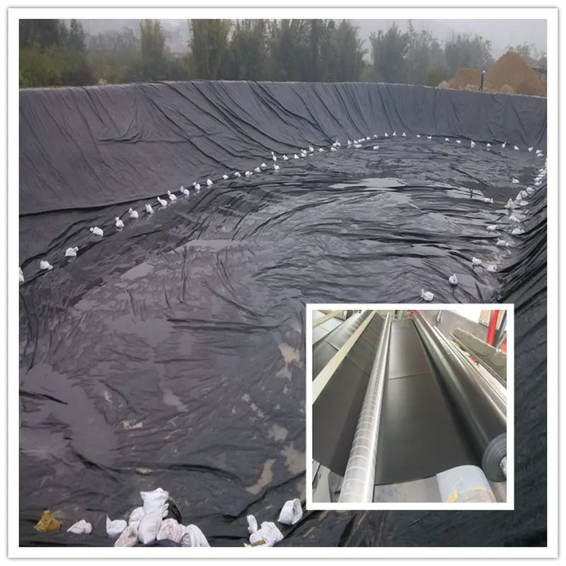 geomembrane 01.jpg