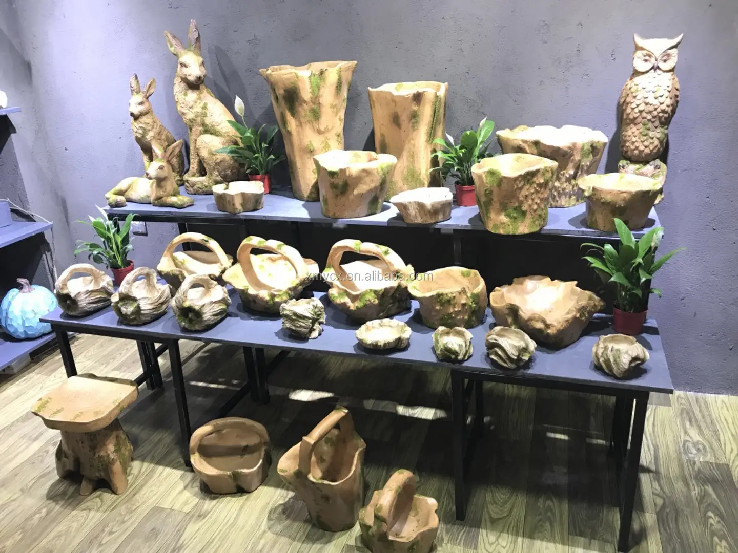 _20180411135459.jpg