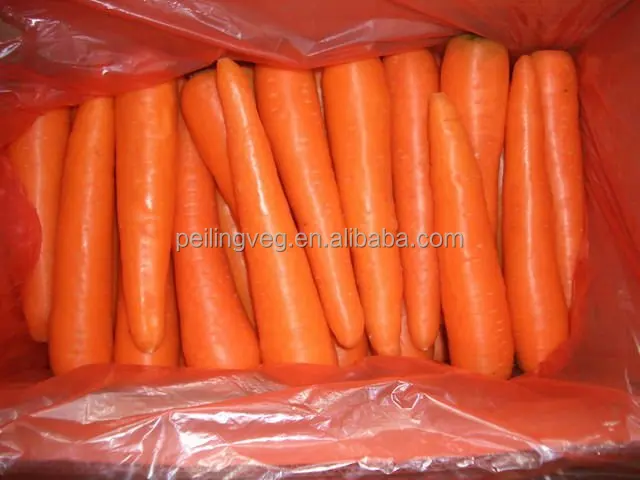 
Good china carrot for RUSSIAN Market 