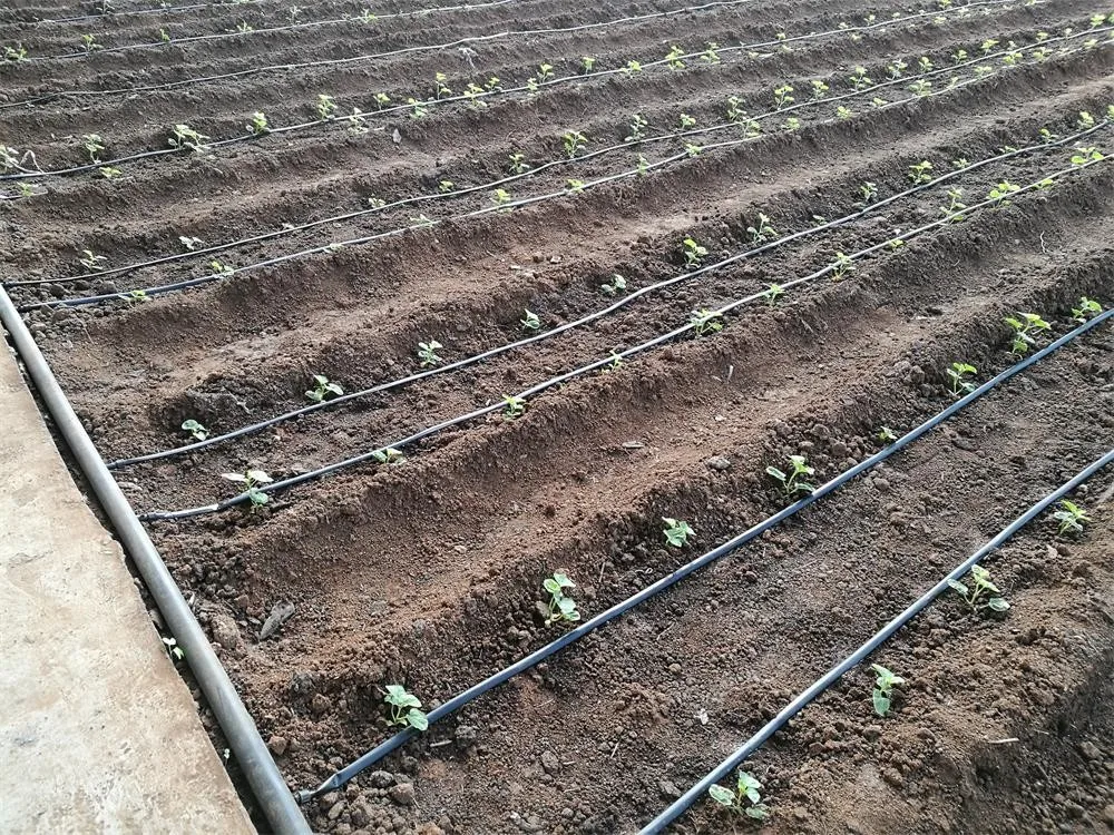 Plastic Irrigation Drip Line Accessories Barbed Connector Buy 16mm