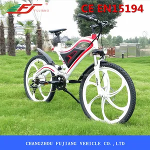 crane electric bike