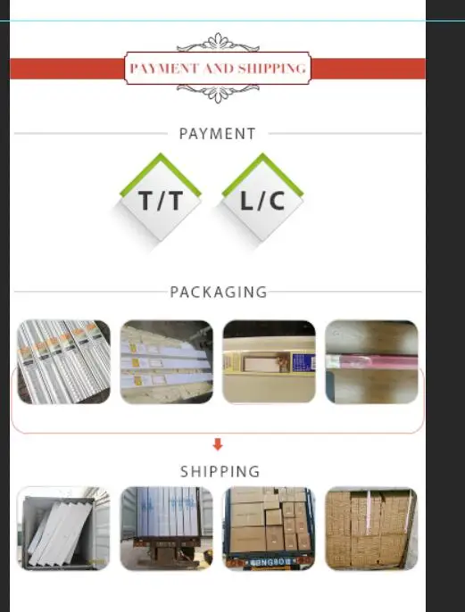 payment and shipping