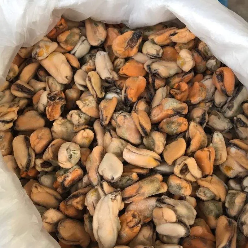 
wholesale frozen cooked mussel meat at lower price 