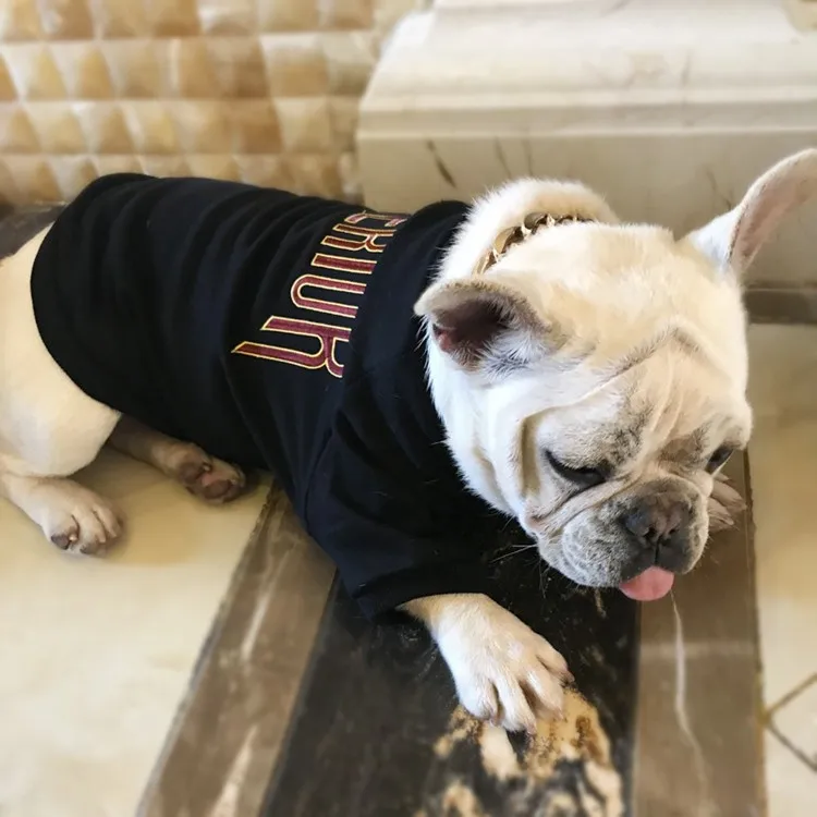 Fashion Dog Clothes With Letters Matching Dog And Owner Clothes Buy