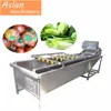 fruit vegetable cleaning machine/industrial cherry tomato bubble washing machine