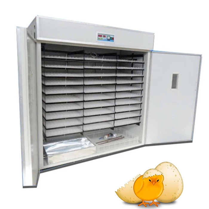 best small incubator for chicken eggs
