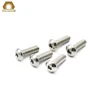 Profession Manufacture M4 Stainless Steel Hex Socket Button Head Cap Screws