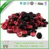 Best quality Cheapest cranberry freeze dried fruit