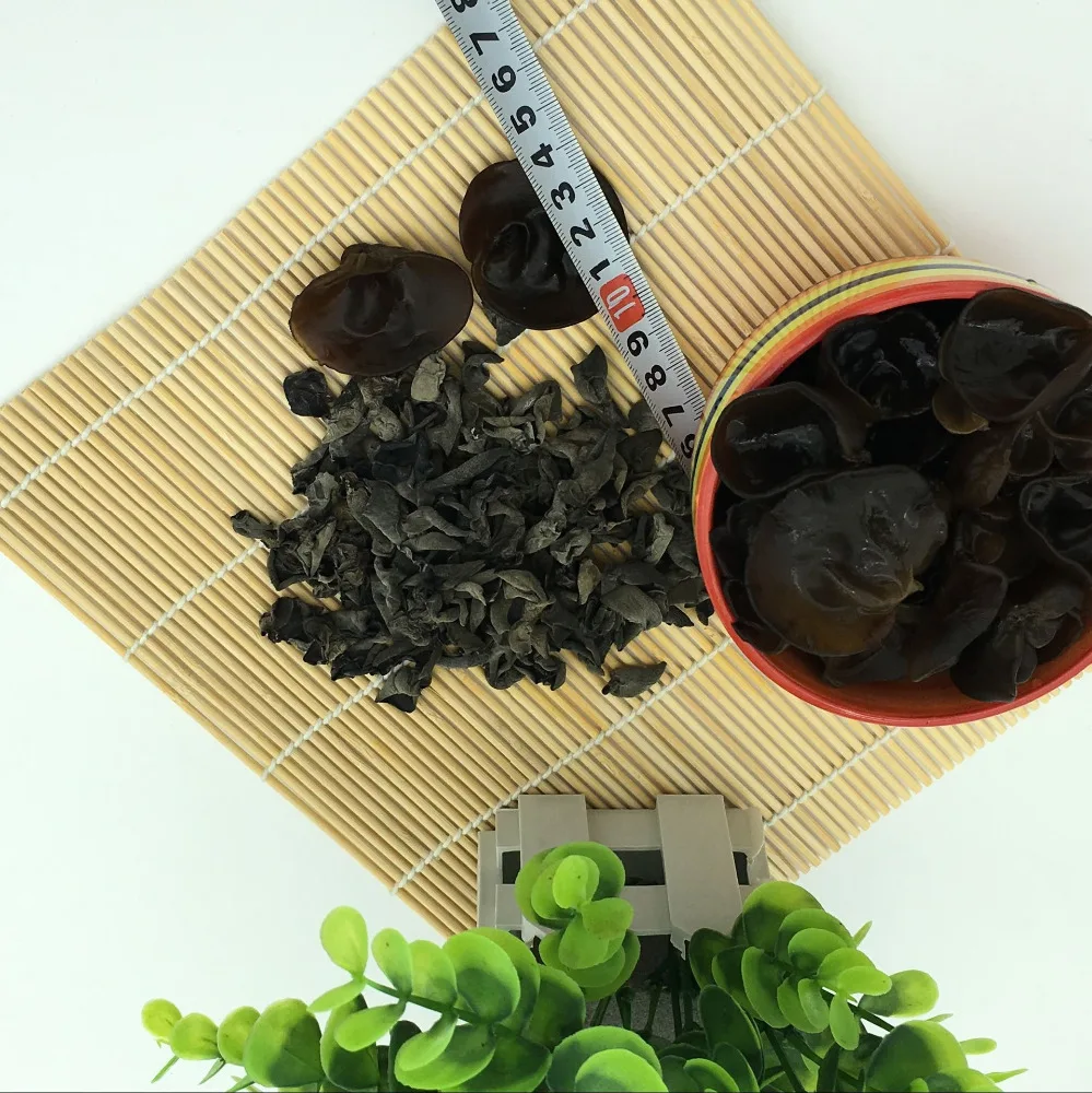 
Herb medicine dry fungus or wood ear 