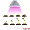 LED Plants Grow Light Indoor Light Garden Flower Lamp,led growing light