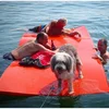 2016 New design giant floating mats for the lake/pool/doggy /water pads