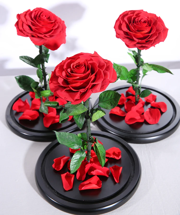 20*30cm Quality Decorative Forever Eternal Everlasting Preserved Rose