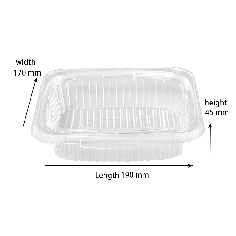 Food grade disposable plastic box food packaging salad plastic boxes for fruits