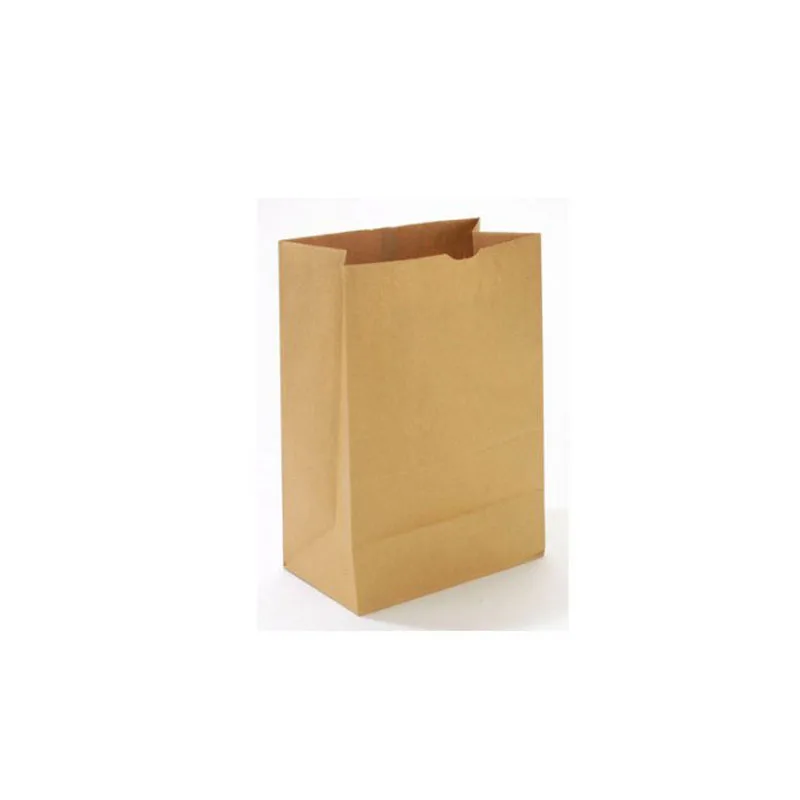paper carry bags with handles