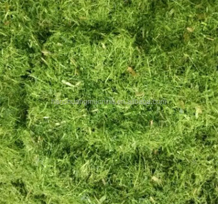 Текстура травы бесшовная. Grass texture PBR. Террейн трава.