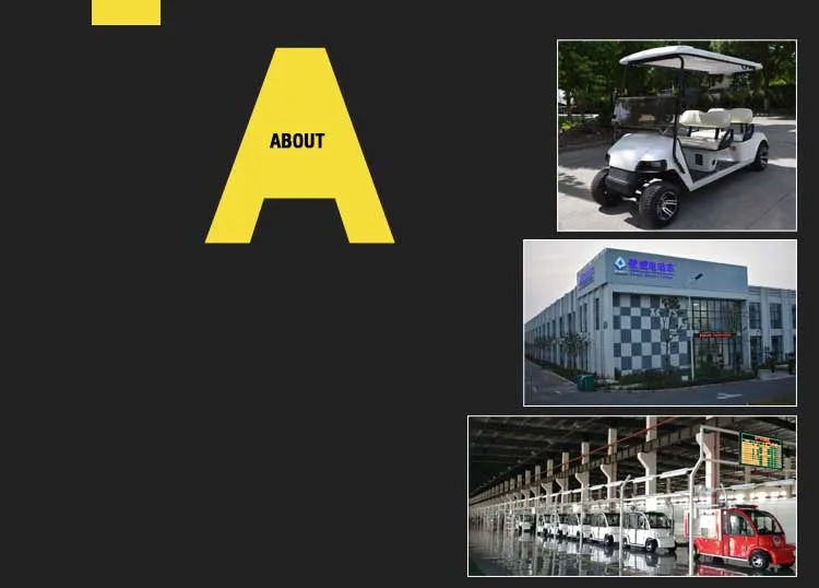 company info.jpg