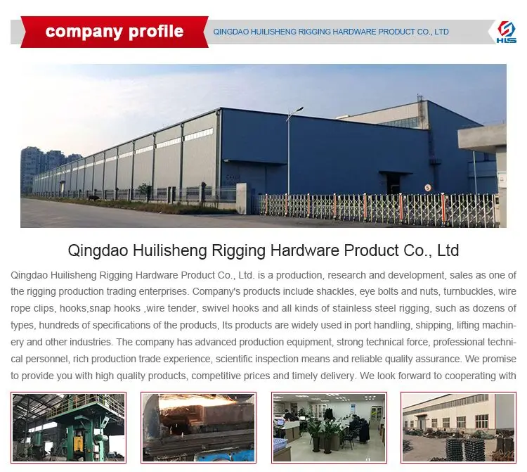 company profile