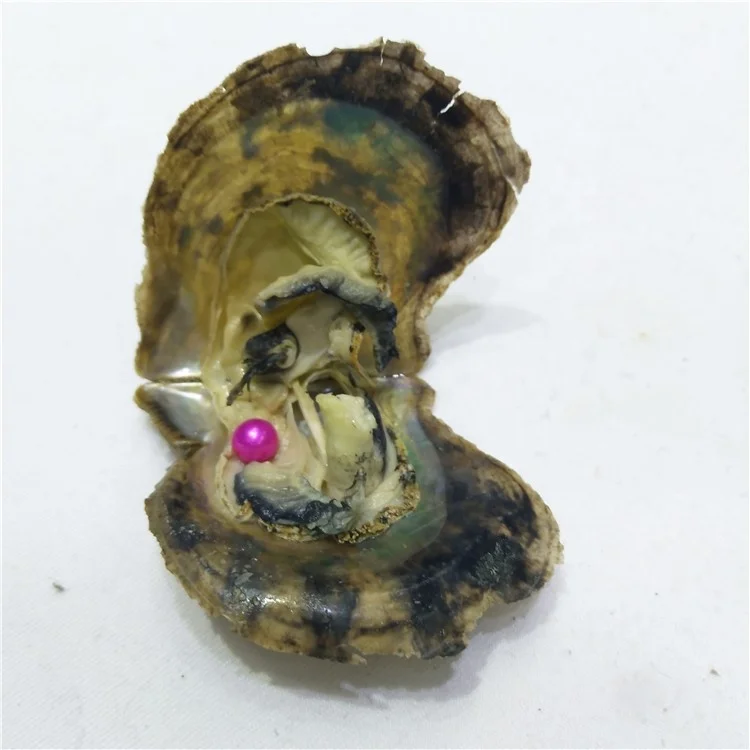 

32 colors Akoya pearl oyster,7-8mm 3A grade round freshwater single mussel,rainbow color, N/a
