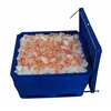 Large plastic fish processing container for fish farming