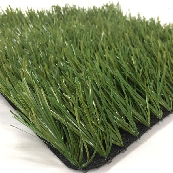 D28 soccer grass.jpg