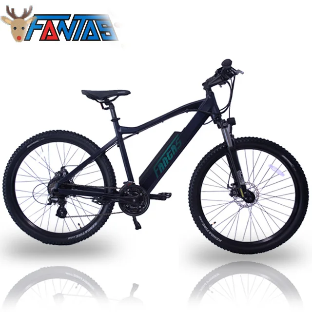Fantas-Bike City-hunter002 48V500W road ebike