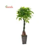 high quality plastic live bonsai tree, bonsai fruit trees for sale