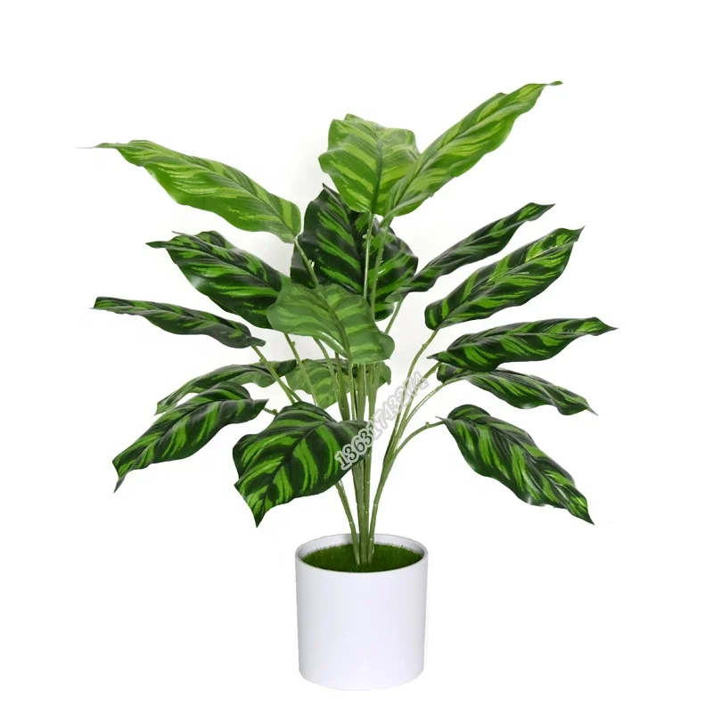 

Factory wholesale real touch fake flower artificial leaves Calathea plants for wall decoration, Picture