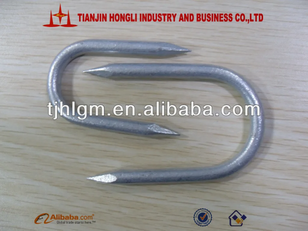 Galvanized U Nail Buy U Nail,U Type Nails,Fence Staples Product on