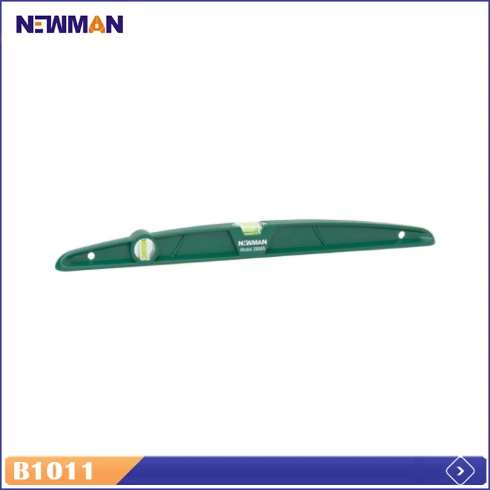 B1011