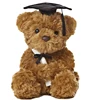 Hot selling custom graduation gift stuffed plush teddy bear with black cap and diploma