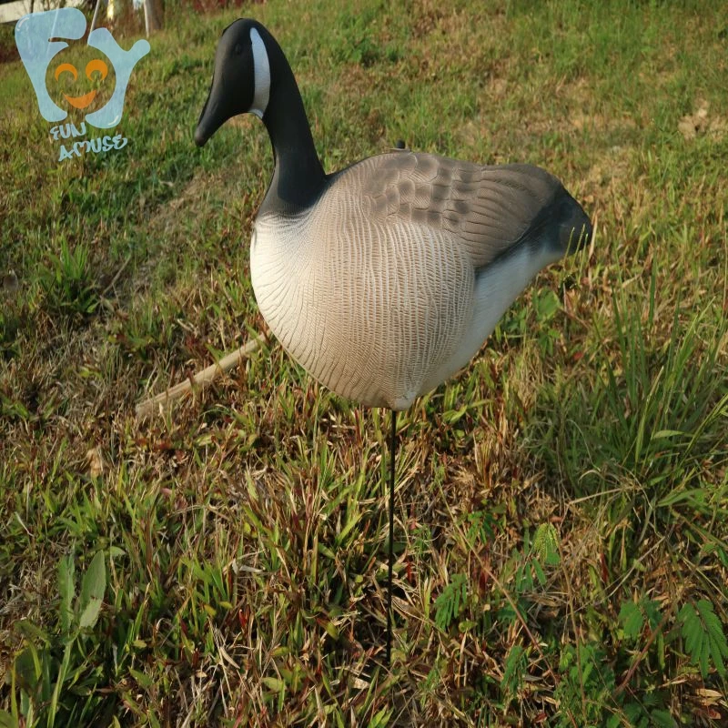 goose 2 (4).jpg