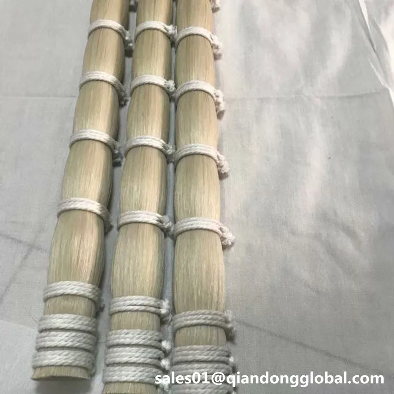 white horse tail hair