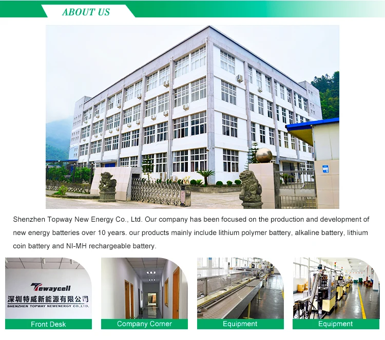 lithium polymer battery