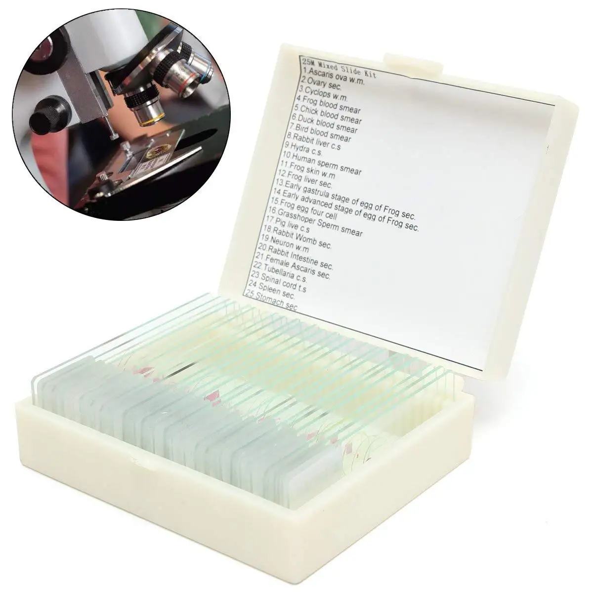 25Pcs Glass Prepared Basic Science Microscope Slides Sample Biology Pathology - Measurement & Analysis Instruments Optical Instruments - 25 Pcs Paper Sweet Bag