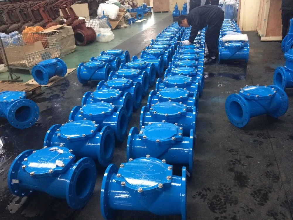 BS5153 rubber flap check valve.JPG