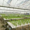 vertical tower garden horticulture products hydroponic systems