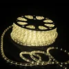 Low voltage LED photo clip string lights can be cut any where