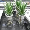 hydroponics plastic mesh net pots basket for greenhouse plants