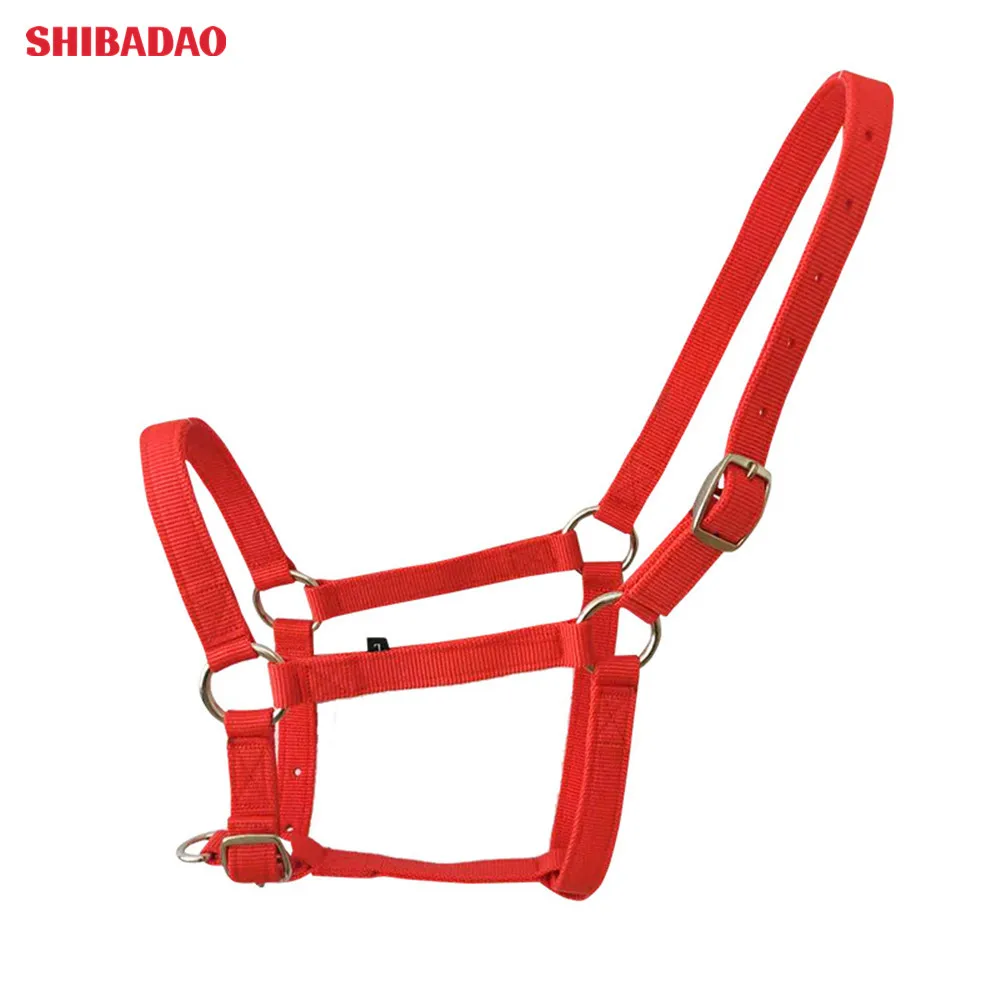 

Horse Riding Equipment Endurance In Different Color Horse Strap Bridle, Blue,red,black