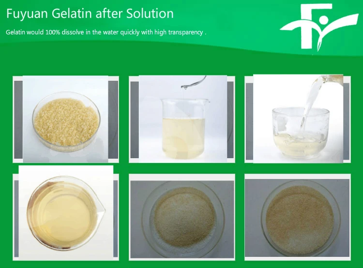 2.Fuyuan Gelatin after solution