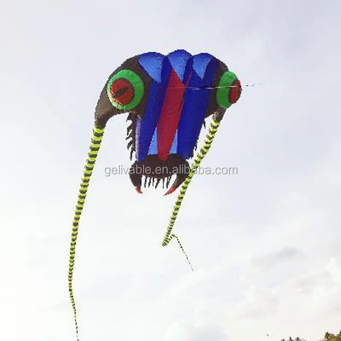 kite flying  (4).jpg