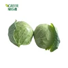 High quality fresh fresh vegetables cabbage