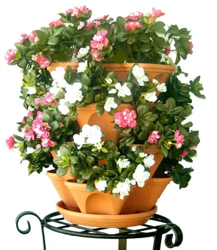 flower pot (2)