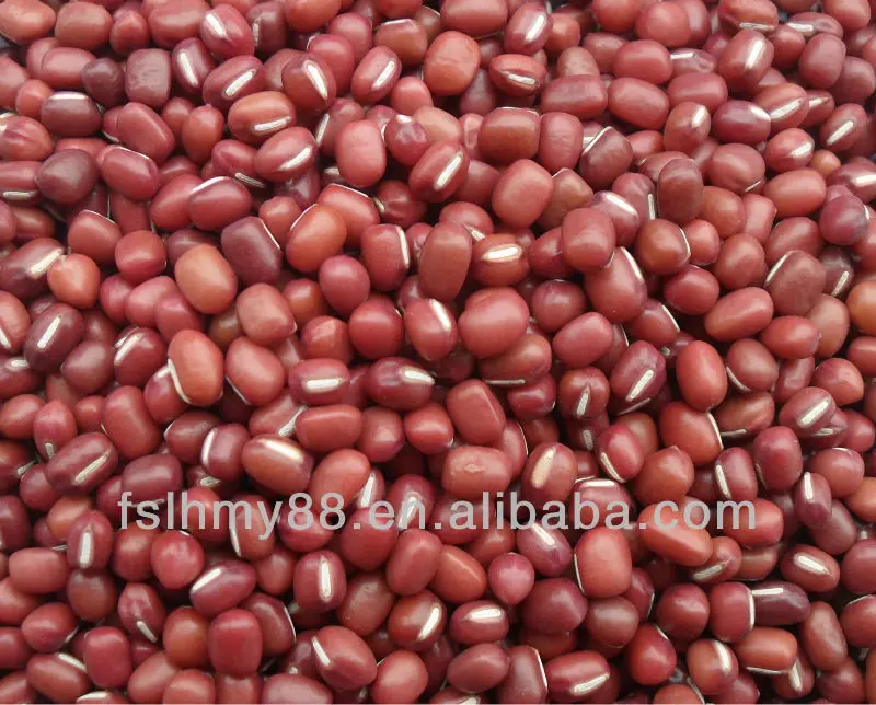 
Northwest China selected small red adzuki beans 3.6-4.8mm 